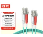 SHENGWEI FLLO-2030 Fiber Optic Patch Cord